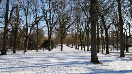 Météo : L’hiver arrive en lorraine !